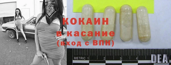 СК Михайлов