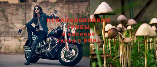 крисы Михайловка