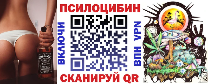 где найти наркотики  Алдан  kraken зеркало  Галлюциногенные грибы мицелий 